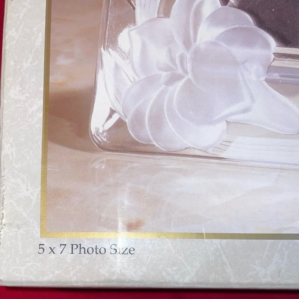 NWT ABSOLUTELY GORGEOUS FROSTED CRYSTAL CLEAR SIGNATURES RECTANGLE PICTURE FRAME